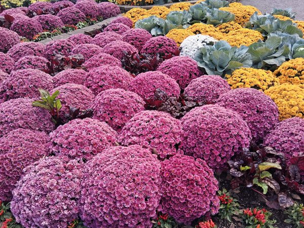 Comment intégrer une technologie d'éclairage dynamique pour des soirées piscine mémorables ?