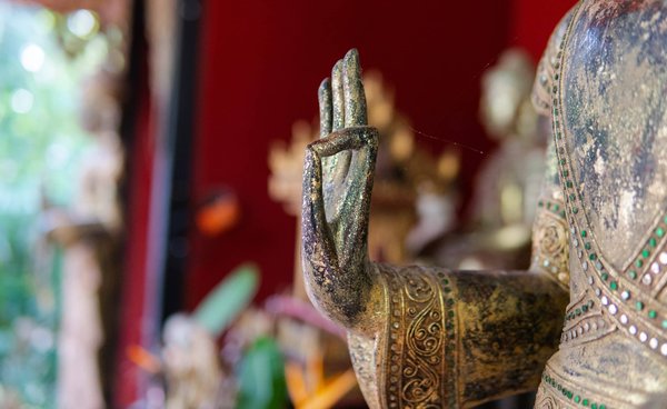 Techniques pour la culture de légumes exotiques dans un climat froid ?