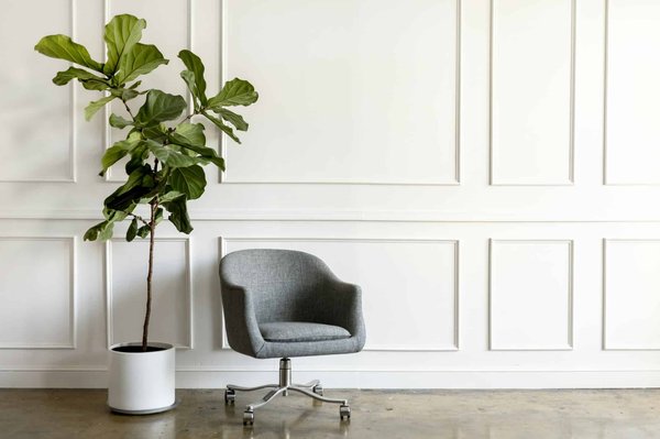 Quelle chaise de bureau choisir ?