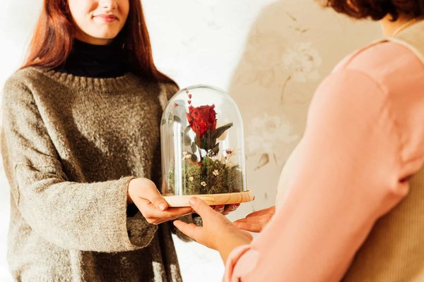 Rose éternelle sous cloche : des idées pour l'intégrer à votre décoration intérieure