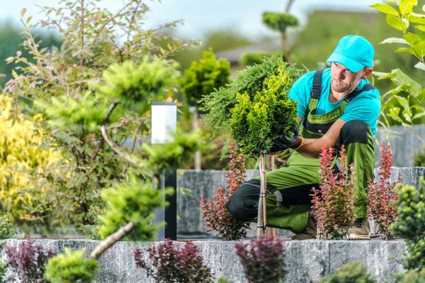 Jardinage : quand engager un paysagiste ?